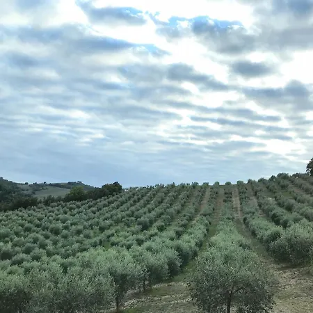 Azienda Agraria Fratelli Caporali Alloggio per agriturismo